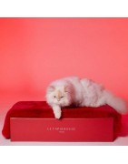 Le Tapis PARIS | Tapis pour chien et chat haut de gamme | Rouge glamour