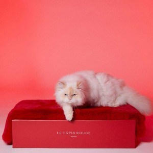 Le Tapis PARIS | Tapis pour chien et chat haut de gamme | Rouge glamour