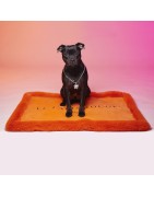 Le Tapis LISSE | Tapis pour chien et chat haut de gamme | Orange lumineux