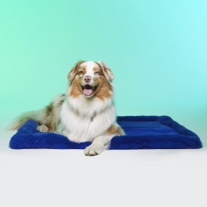 Le Tapis LONDON | Tapis pour chien et chat haut de gamme | Bleu royal