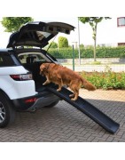 Rampe pliable en plastique pour chien