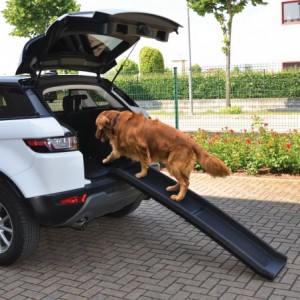 Rampe pliable en plastique pour chien