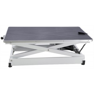 Table à vérin électrique à double potence