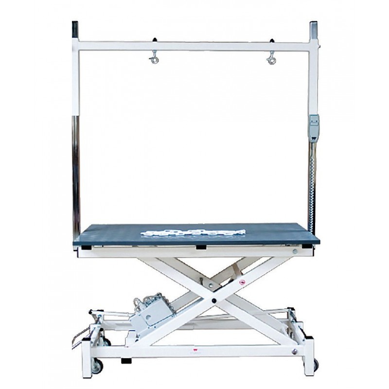 Table à vérin électrique à roulettes