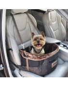 Box de transport pour voiture