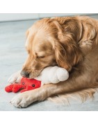 Beeztees | Chien | Peluche de fouille crabe et coquillage