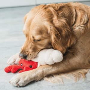 Beeztees | Chien | Peluche de fouille crabe et coquillage
