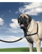 Easy Walk | Chien | Harnais + laisse nylon noir