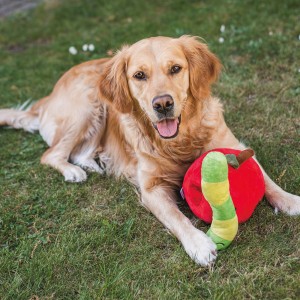 Beeztees | Chien | Peluche de fouille pomme et asticot