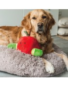 Beeztees | Chien | Peluche de fouille pomme et asticot