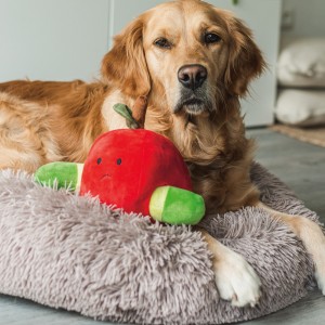 Beeztees | Chien | Peluche de fouille pomme et asticot