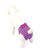 Camon | Chien | Culotte hygiène fantaisie mauve à pois blancs
