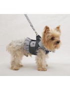 Doggy Dolly | Chien | Harnais veste rayé gris et noeud + laisse