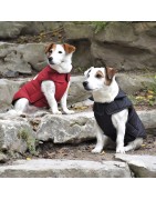 Bobby | Chien | Manteau DOG noir