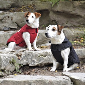 Bobby | Chien | Manteau DOG noir
