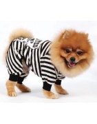 Doggy Dolly | Chien | Pyjama rayé noir et blanc WANTED