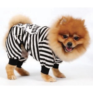 Doggy Dolly | Chien | Pyjama rayé noir et blanc WANTED