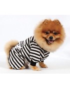 Doggy Dolly | Chien | Pyjama rayé noir et blanc WANTED