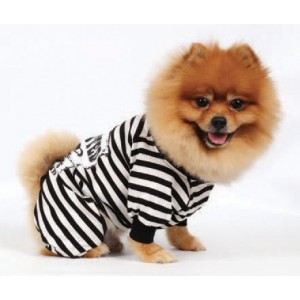 Doggy Dolly | Chien | Pyjama rayé noir et blanc WANTED