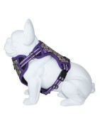 Freedog | Chien | Harnais réfléchissant BORÉAL lilias (violet)