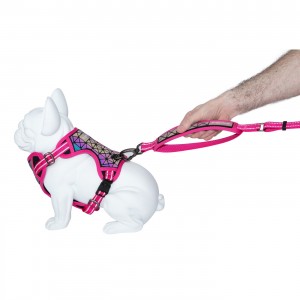 Freedog | Chien | Laisse double poignée BORÉAL fushia (rose)