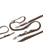 Beeztees | Chien | Laisse de dressage en cuir marron
