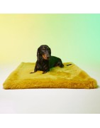 Le Tapis Collection SWEET BREAKFAST | Jaune avec personnages