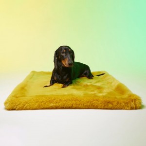Le Tapis Collection SWEET BREAKFAST | Jaune avec personnages