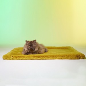 Le Tapis Collection SWEET BREAKFAST | Jaune avec personnages