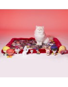 Le Tapis Collection TIME TO ROCK | Rouge avec personnages