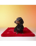 Le Tapis Collection TIME TO ROCK | Rouge avec personnages