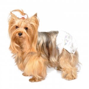 Camon | Chien | Couches jetables
