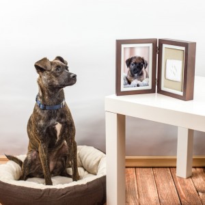 Double cadre photo & empreinte de patte en plâtre | Bois foncé