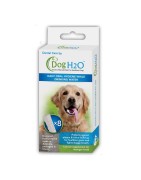 Dogh20 | Chien et chat | Boîte de 8 DENTAL CARE H2O