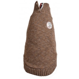 Bobby | Chien | Pull Today Marron