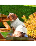 Bobby | Chien | Manteau Parka Vert Clair
