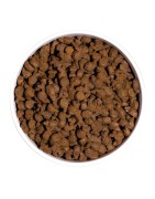 Ownat | Chien | Croquette Sans Céréales à la Truite