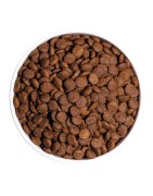 Ownat | Chien | Croquettes CLASSIC MINI ADULTE 4KG