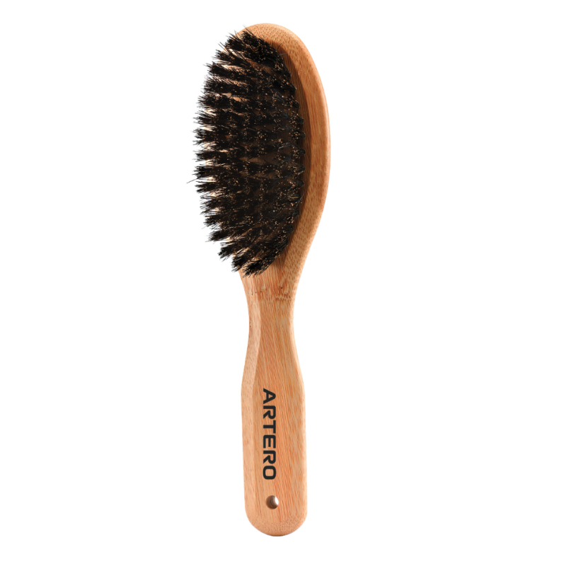 Brosse en POILS de SANGLIER | ARTERO