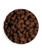 Ownat | Chien | Croquettes CLASSIC ENERGY