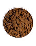 Ownat | Chien | Croquettes CLASSIC FISH