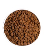 Ownat | Chat | Croquettes CLASSIC KITTEN