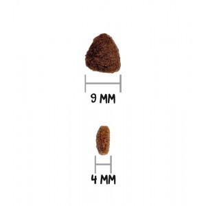 Ownat | Chat | Croquettes CLASSIC KITTEN