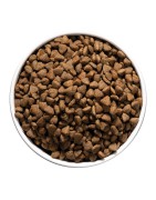 Ownat | Chat | Croquettes CARE HYPOALLERGENIC Sans Céréales