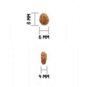 Ownat | Chat | Croquettes AUTHOR FRESH OILY FISH & POULTRY 3 kg