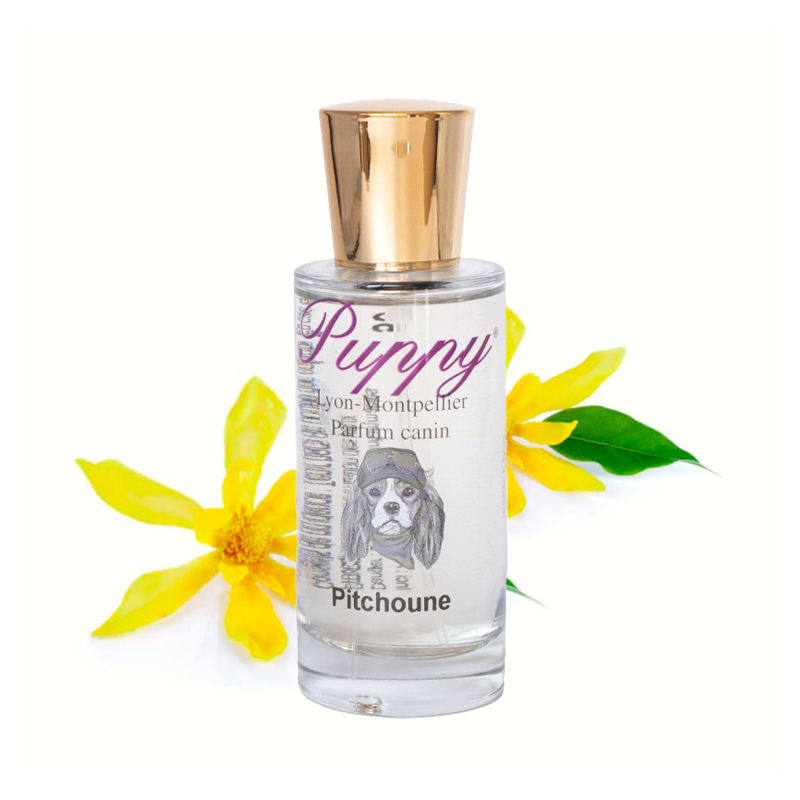 Parfum pour chien  et chiot | Puppy Pitchoune | Senteur Ylang-Ylang | 50 ou 250 ml