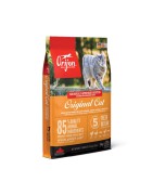 Croquettes sans céréales pour chat et chaton | ORIJEN Cat & Kitten