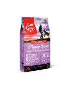 Croquettes sans céréales pour grand chiot| ORIJEN Puppy Large
