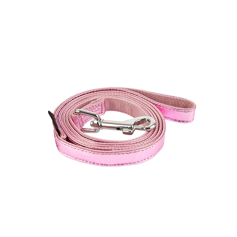 Laisse PUPPIA brillante EVON