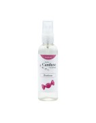Parfum pour chien et chiot | Caniluxe Bonbon | Senteur savoureuse | 100 ml